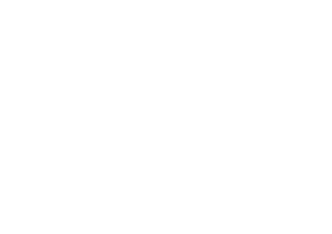 Les journées du vin